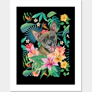 Tropical Short Haired Black Sable Fawn Chihuahua Posters and Art